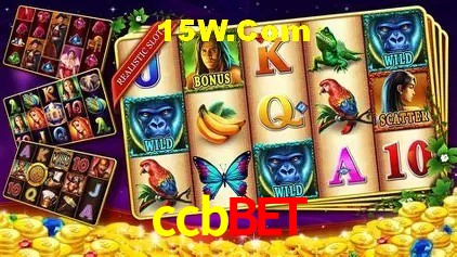 ccbbet Brasília - Leaderboards