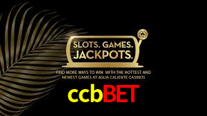 ccbbet app
